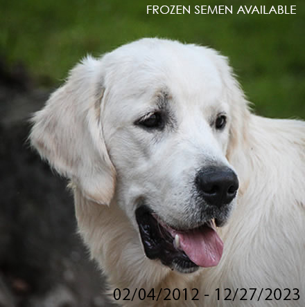 Haydain- Champion Bonett Bride El Paso